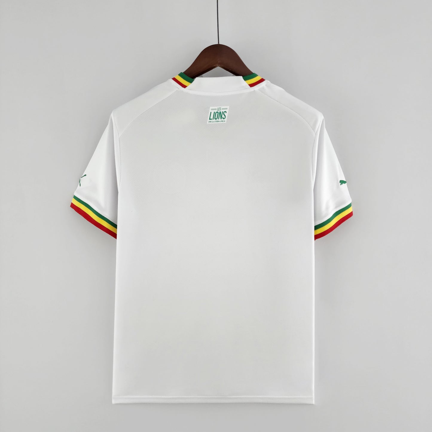 Senegal Domicile 2022